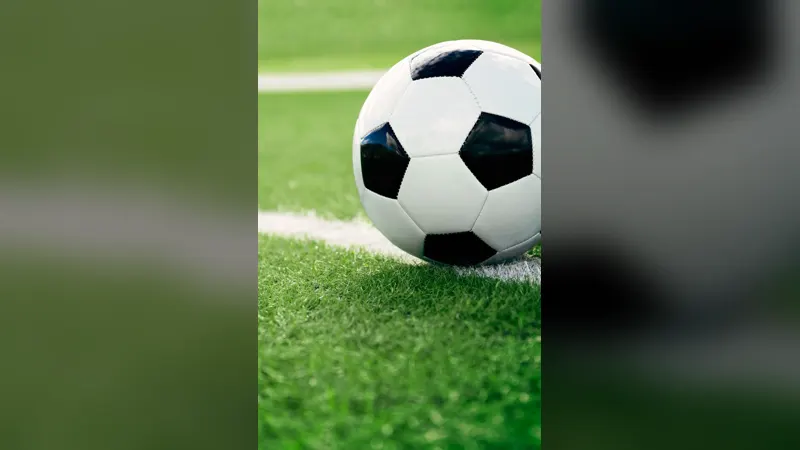 A football resting on the white line of a grass pitch